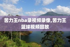 09年nba季后赛首轮录像,2009年nba季后赛录像回放