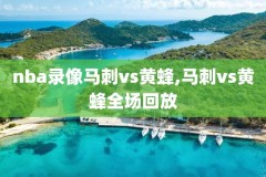 2001nba国王比赛录像,nba国王2002