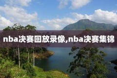 nba快船vs掘金常规赛录像,快船vs掘金直播回放