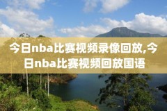 2006nba总决赛录像百度云,2006年nba总决赛录像回放国语