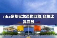 2019.2.3nba比赛录像,nba2019比赛回放