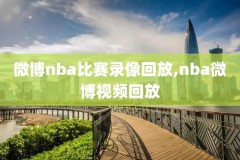 韦德nba经典比赛录像,韦德nba得分
