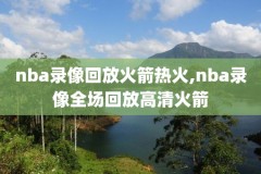 2012年nba东决第七场录像,2012年nba东决全场回放