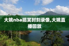 nba骑士vs猛龙比赛录像,骑士vs猛龙g2回放