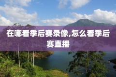 nba录像回放2024总决赛,nba20202021总决赛回放