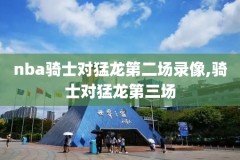 14年nba录像热火,2014年nba热火阵容