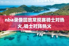 2001年nba总决赛录像5场全,2001年nba总决赛打了几场