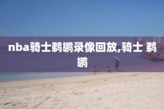 nba季后赛八强录像,nba季后赛八强打几场