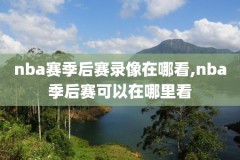 2014年nba总决赛录像回放央视,2014年nba总决赛g3回放国语