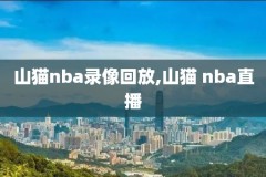 2019.2.13NBA比赛录像,2019年nba回放