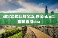 免费高清观看nba直播比赛,jrs直播nba无插件直播