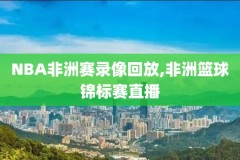nba录像决赛2013,2013nba决赛第6场