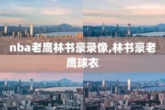 nba2kol看录像,nba2kol游戏录像回放怎么开