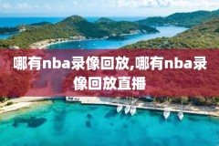 2105年nba总决赛录像,15年nba总决赛视频