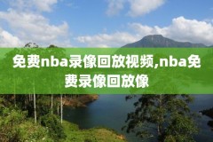 免费高清观看nba直播比赛,免费播放nba的网站