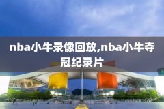 nba回放录像猛龙VS76人G3,nba猛龙vs76人第四场