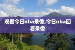 20012nba总决赛录像回放,20012002nba总决赛