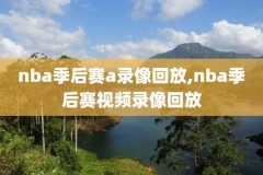 nba2013录像勇士,nba录像高清回放勇士