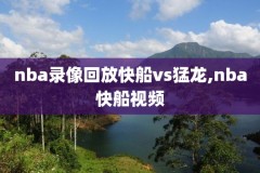 1213赛季nba总决赛录像,nba总决赛录像高清回放像2013总决赛第七场