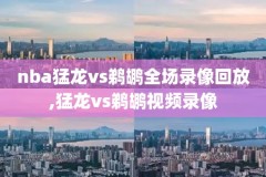 2016nba西决录像回放,nba2016年西决