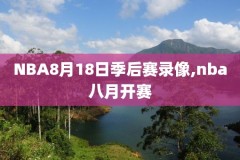 nba录像www.zhibo8.cc,NbA录像回放用什么软件好
