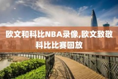 194nba录像回放,nba1994年总决赛录像回放