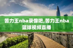 百度NBA录像吧,nba录像吧录像回放吧app