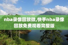 nba录像热火,nba录像高清回放像热火