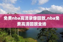 广东队nba比赛录像,广东队的比赛录像