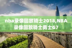 2015nba东部决赛cctv录像,2015年nba东部半决赛g4