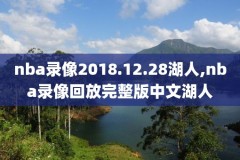 2020年nba总决赛赛录像,2020年nba总决赛比赛录像回放