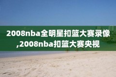 nba2013总决赛7录像,nba2013总决赛高清回放