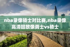 2013nba东决赛录像回放,2013nba东决数据