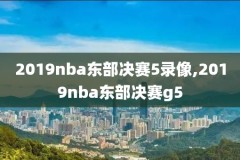 今日nba勇士猛龙比赛录像,今日勇士vs猛龙直播