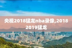 以前的新浪nba录像,新浪nba战绩