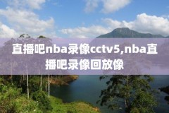 nba录像回放2014总决赛第三场,2014年nba总决赛第二场
