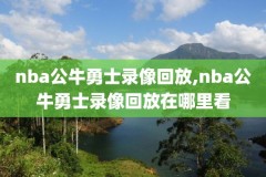 13年nba季后赛录像,nba2013季后赛对阵