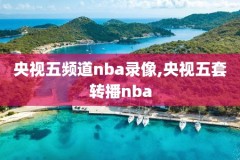 nba录像13一14总决赛第五场,nba1314总决赛回放