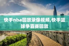 nba录像猛龙打林书豪,猛龙总冠军林书豪得分