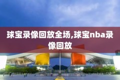 姚明nba录像中文字幕,姚明nba精彩视频