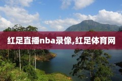 nba录像回场违例,nba录像回录像高清