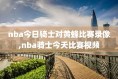 2019年5月20日NBA季后赛录像,2019年nba季后赛战绩