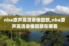 nba录像回放云播,nba录像回放高清国语cc