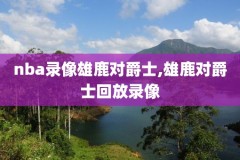 nba勇士比赛录像国语解说,nba勇士比赛直播回放