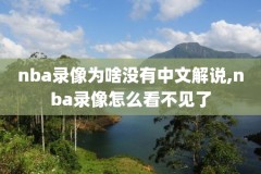 nba录像回放速球,nba录像高清回放像看球