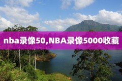 nba西决g4录像,nba西决g3