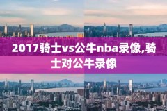 nba录像鹈鹕,nba鹈鹕直播