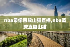 nba录像爵士对勇士2018,勇士对爵士2019