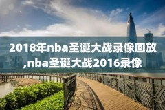 nba总决赛2019录像下载,nba2019总决赛冠军回放