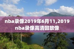 2001nba西部总决赛录像,2001西部决赛录像回放